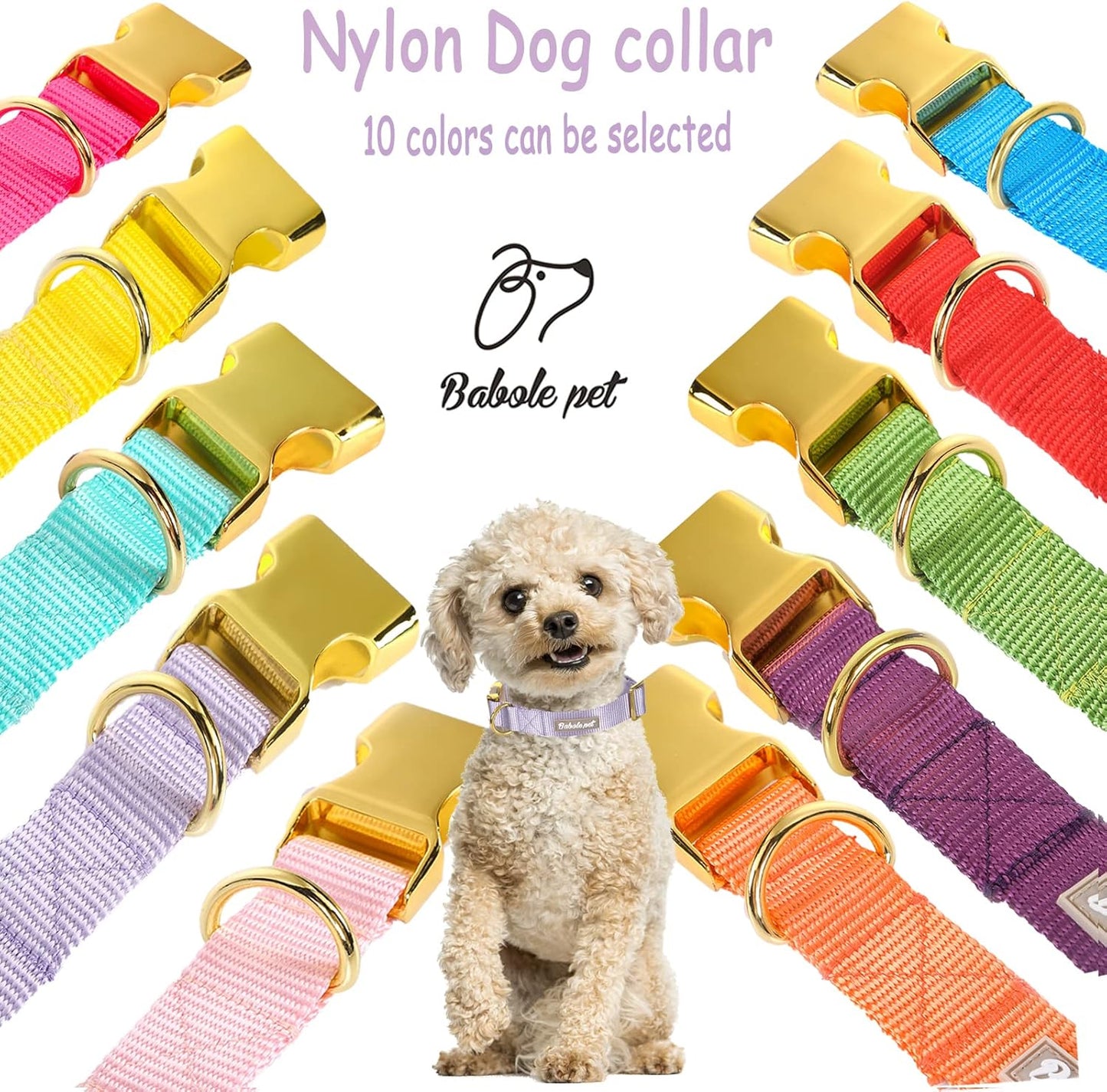 Adjustable Nylon Dog Collar – Soft Webbing Collar with Metal Safety Buckle for Small, Medium & Large Dogs