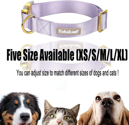 Adjustable Nylon Dog Collar – Soft Webbing Collar with Metal Safety Buckle for Small, Medium & Large Dogs