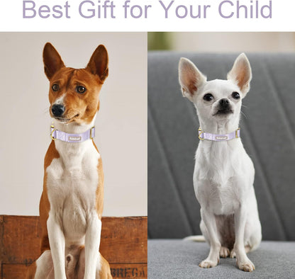 Adjustable Nylon Dog Collar – Soft Webbing Collar with Metal Safety Buckle for Small, Medium & Large Dogs
