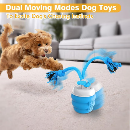 Interactive Dog Ball™ – Rechargeable Automatic Rolling Toy for Endless Fun & Exercise