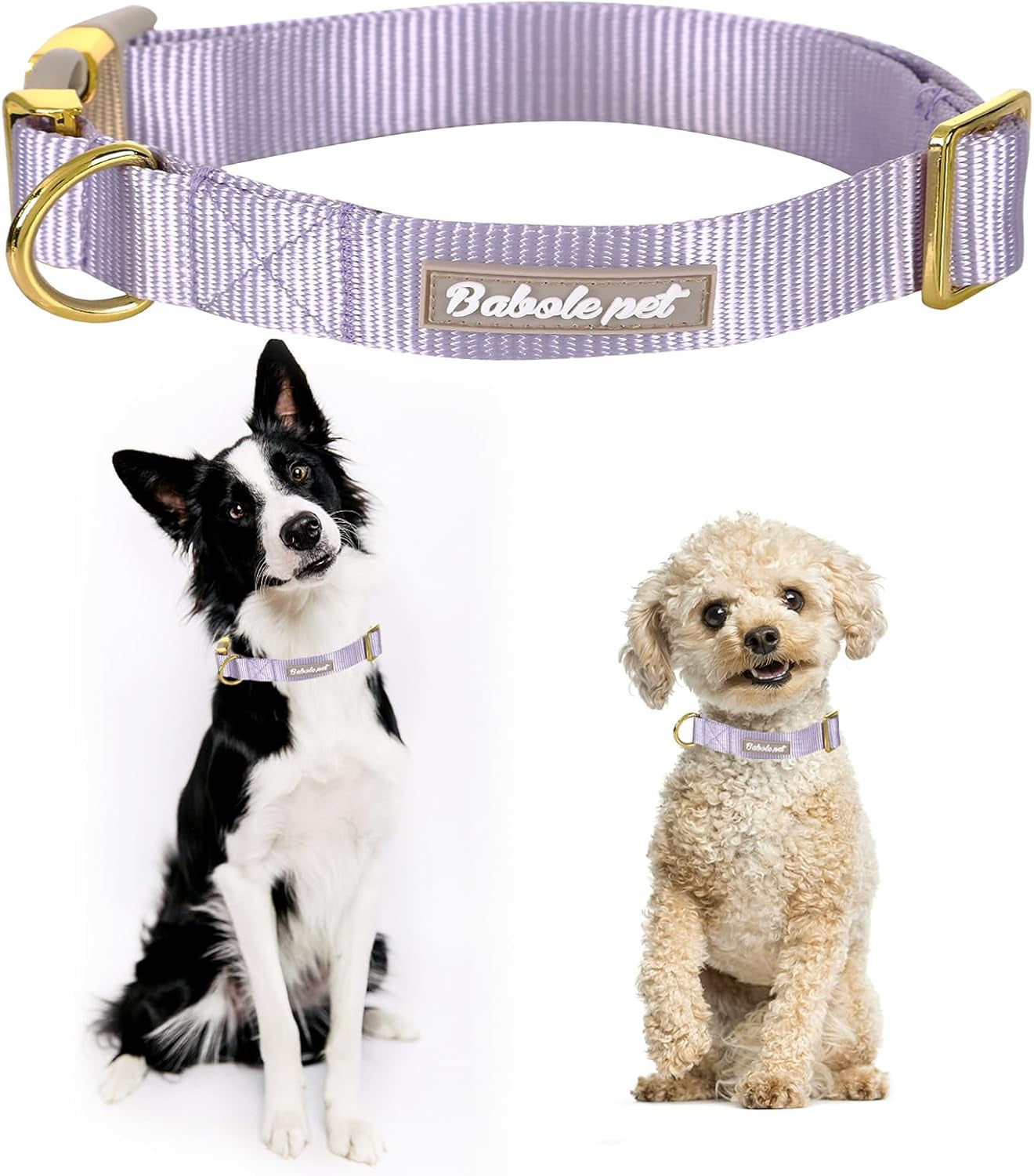 Adjustable Nylon Dog Collar – Soft Webbing Collar with Metal Safety Buckle for Small, Medium & Large Dogs